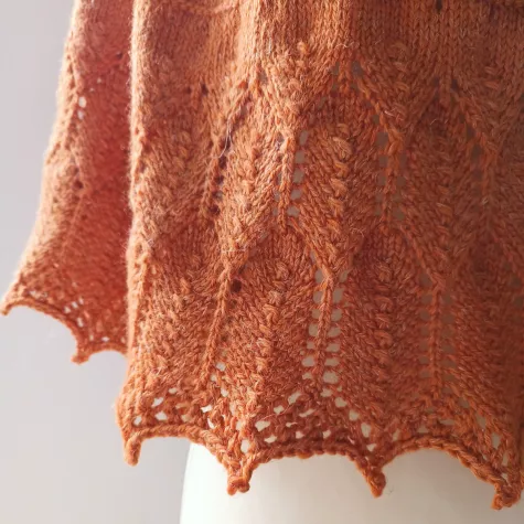 Poule ou coq - poncho tricot